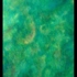 Green_orchid_2