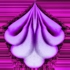 Fantail
