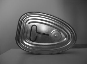 Web_untitled_brancusi_series_2009