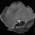 Reflower2d