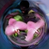Longing_spirit_ab
