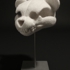 S_metz_teddy_skull_ursulus_lenis