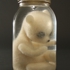 S_metz_ursulus_parvulus_10-08