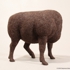 S_metz_muscle_heifer