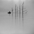 Image_13