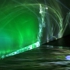 08_phytocommunication
