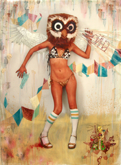 Owl War,Morgan Slade