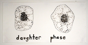 Daughterphase