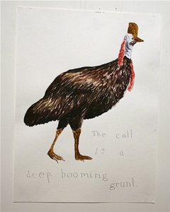 Cassowary