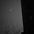 Moon_over_manhattanbw1_dsf1542-edit