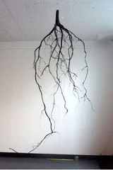 Uprooted,Katie Holten