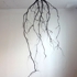 Uprooted_2008e