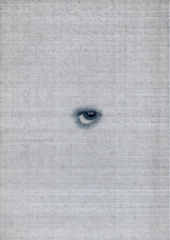 Apocalypse Eye,Johan De Wilde