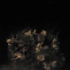Blowup10_copy