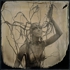 Gethsemane_merfeld__flazh-2