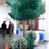Tree2
