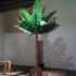 Palm