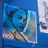 Celso09e