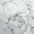 Reclining_female_ii
