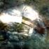 Ocean4