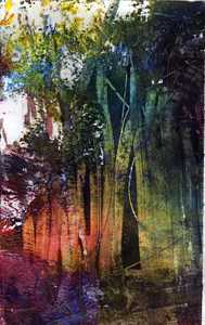 Enchanted_forest