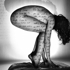 Darrensaravis_alma7394_44x35_giclee__1200_bw