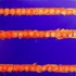 Stripsoforanges3