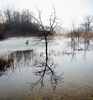 Img_2392-march_pond_overflow