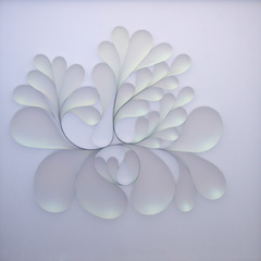 Seed_plant__2008__47_x_47__mixed_media