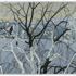 Ursula_schneider__december_hudson_river__2007__45_x_92_inches