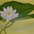 Floral_04-10