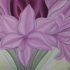Floral_06-16