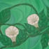 Floral_06-19
