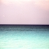 08_mitnik_miller