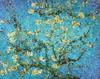 1235160694_home_artwork_images_983_227239_vik-muniz
