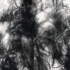 -1_big_image