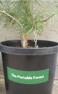 Portableforest2
