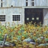 Barn_scene_24_20