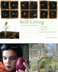 Starvation Seeds,Lindsay Kelley