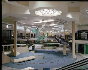 Randall Park Mall,Brian Ulrich