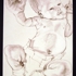 Signaling_baby