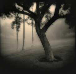 Averill Park No.7,RAY CAROFANO