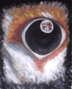 God_s_eye___n_58_000