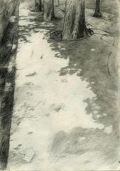 UNTITLED DRAWING # 16 (SIDEWALK) [From “THE AC·KNOWL·EDGE·MENT”, a series and publication in progress,STIAN EIDE KLUGE