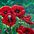 20101124053642-rubies_c