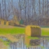 Hay_bale_1