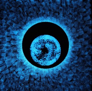 Beyond_the_light_beyond_the_night_dark