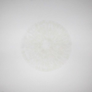 Deflection_white_1