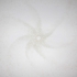 Formation_white