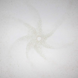 Formation_white